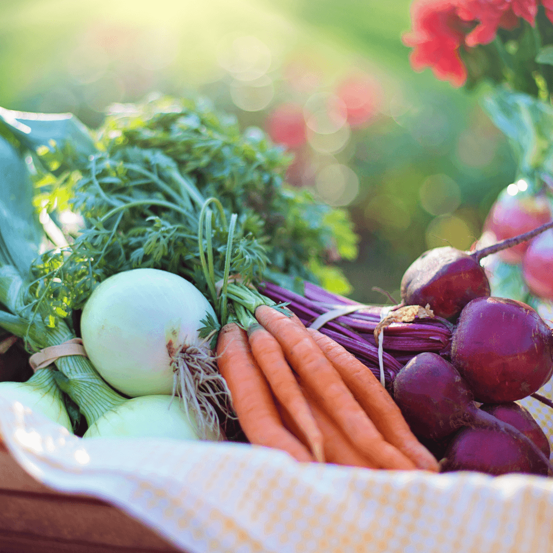 Conseil en nutrition à Chavornay Un panier rempli de légumes frais comprenant des carottes, des oignons, des betteraves et des poireaux, illustrant les services de conseil en nutrition disponibles à Chavornay.