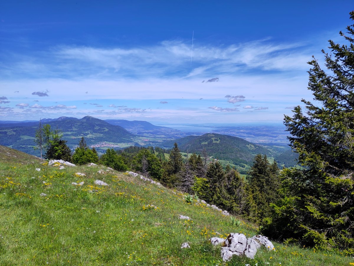 Naturopathe à Yverdon (Consultation à domicile) – Votre santé entre de bonnes mains 