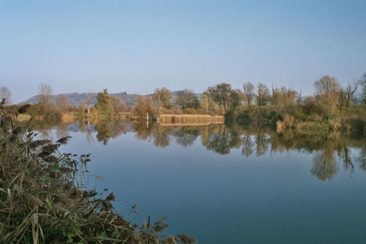 Réserve naturelle Creux de Terre - Chavornay